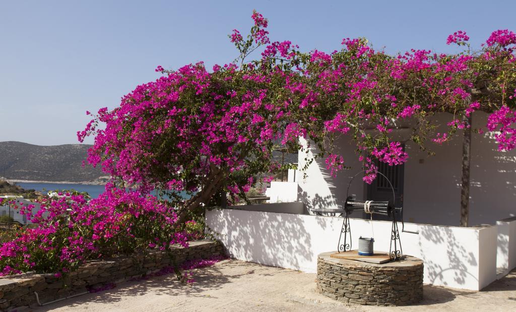 Ostria Studios Platis Gialos  Buitenkant foto